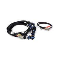 Nexus Universal V8 - IGN-1A Ford Harness